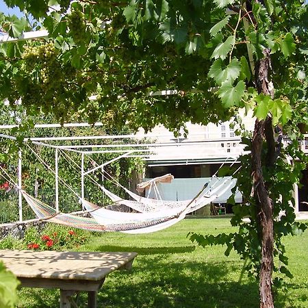 Guest House Darinka Draga Bascanska Екстер'єр фото
