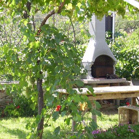 Guest House Darinka Draga Bascanska Екстер'єр фото
