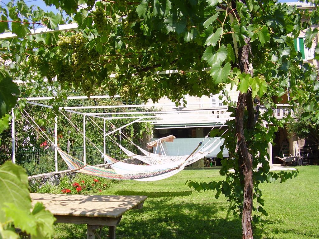 Guest House Darinka Draga Bascanska Екстер'єр фото