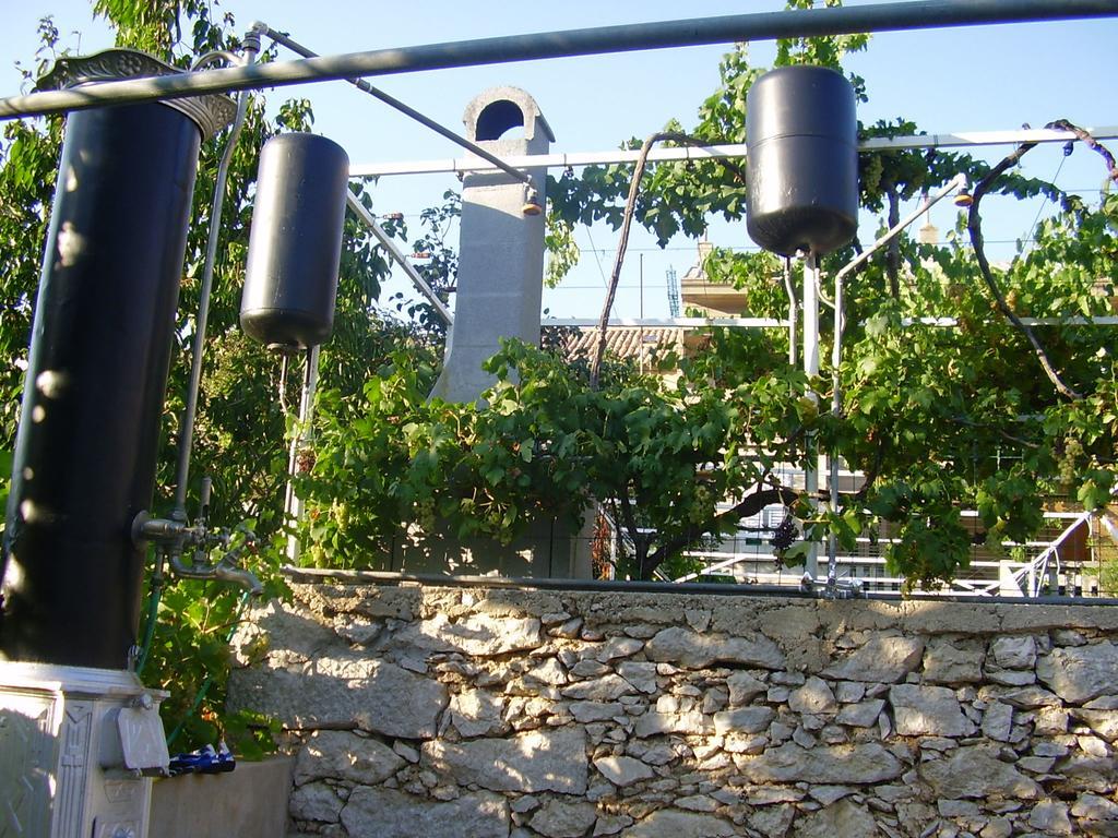 Guest House Darinka Draga Bascanska Екстер'єр фото